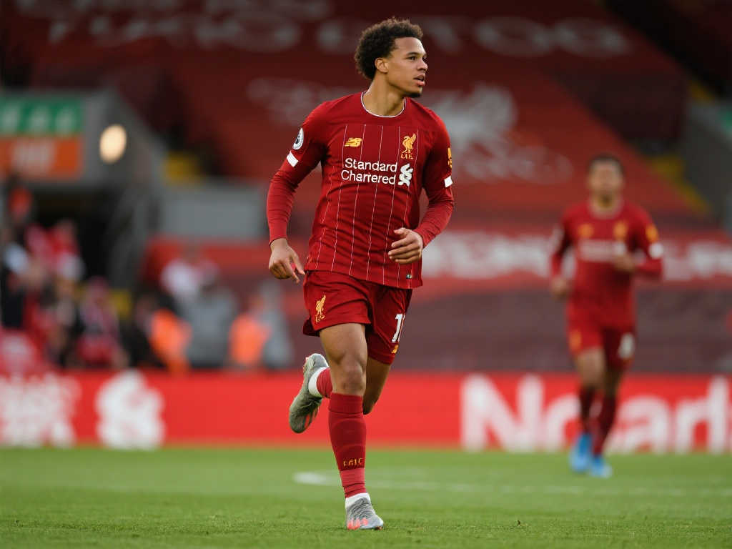 都是他需要 都是他需要