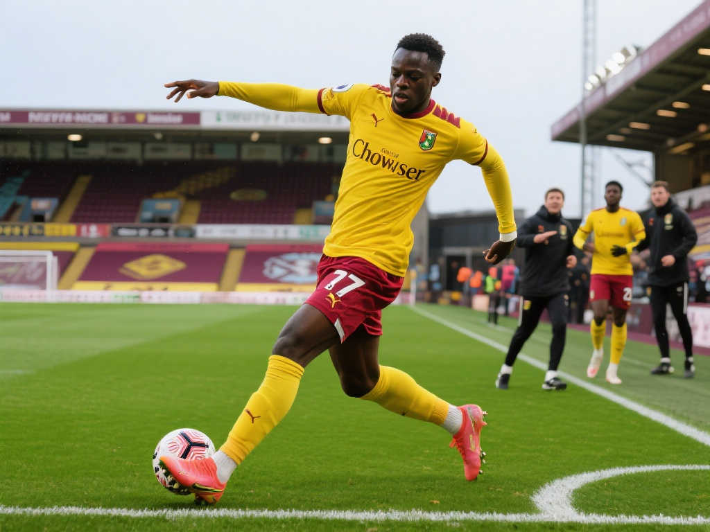 北队增添了 北队增添了